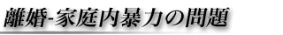 離婚 家庭内暴力